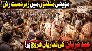 Eid ul Adha Rush Begins! Cattle Markets Crowded Across Pakistan | Breaking News