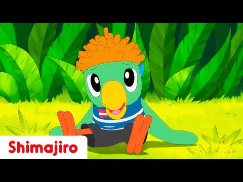 🌰👑 The King of Acorns! 🍂🪵 | Full Episode #285 | Shimajiro 🐯✨