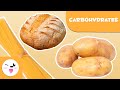 Understanding Carbohydrates