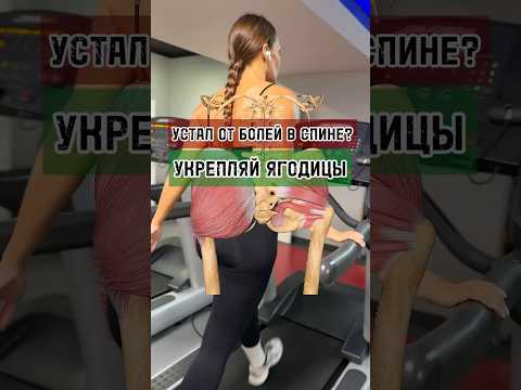 Как устранить боли в пояснице через прокачку ягодиц? #тренировка #ягодицы #поясница