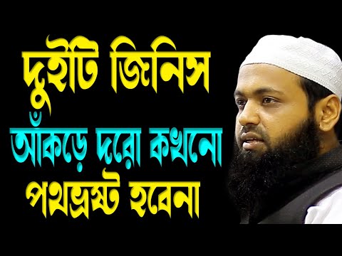 আরিফ বিন হাবিব | New bd Waz 2025