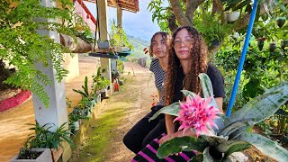 ELA ESTÁ TRANSFORMANDO O SÍTIO ABANDONADO EM UM LINDO PARAÍSO!