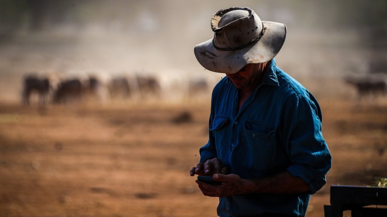 ‘Frightening’: Farmer Wellbeing Report Reveals High Depression Figures