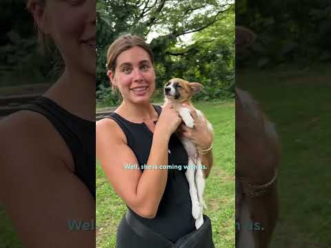 Tiny Puppy Follows Couple On Vacation | The Dodo