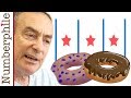 Understanding the Bagel Problem