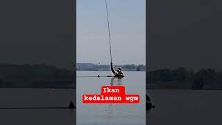 Ikan makan di kedalaman #fishing #mancingnyobokwgmterbaru