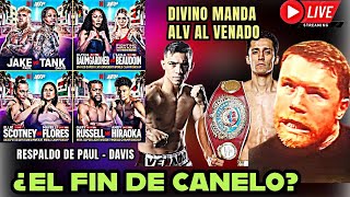 Se ACABÓ LA MENTIRA llamada Canelo, Divino manda ALV al Venado