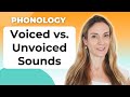 Voiced and Unvoiced Sounds