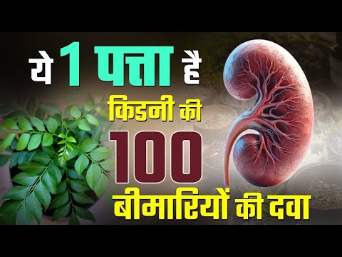 एक पत्ता, किडनी की 100 समस्याओं का समाधान | Benefits of Curry Leaves | Kidney Friendly Diet