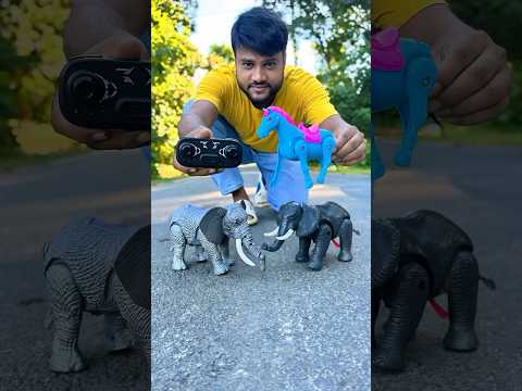 Puran ekta Horse and Naya Rc Elephant Unboxing na