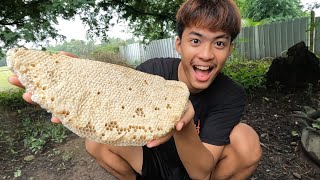 รังผึ้งอ่อนๆ ทาเกลือปิ้งย่างหอมๆ โคตรอร่อยสุดๆ.