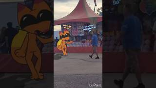 Cajun fox wants to win a prize