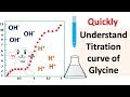 Glycine pH and Charge Properties