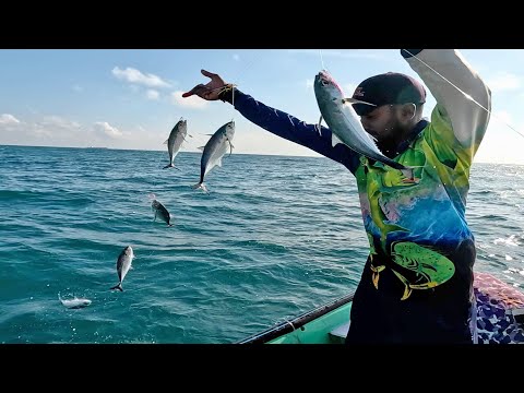 Catching a Lot of Horse Mackerel Fish in the Deep Sea