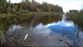 видео
