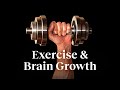 Wendy Suzuki's Insights on Exercise
