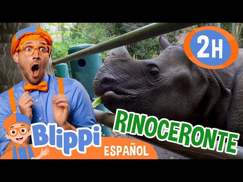 Rinoceronte en el Zoológico🦏 | Canciones Infantiles🎵| Juega y aprende | Moonbug Español | Blippi