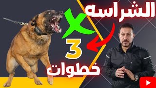 اجمد ٣ طرق لتشريس كلبك مع كابتن شريف شحاته كمل الفيديو من فات قديمه تاه بقاله ٤ سنين