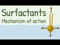 Understanding Surfactants and Their Effects