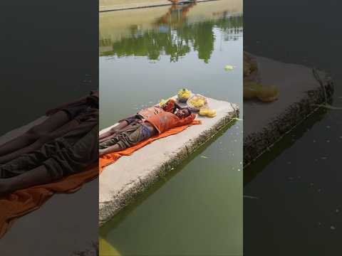 🥺 मैने क्या कर डाला😥fish#hearttouching#shorts #helpingothers#humanity #kindnes#reallife#viralshorts