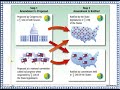 Amendment Process in the U.S. Constitution