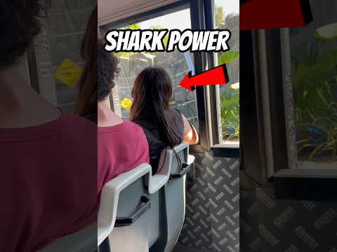 Shark Power 😱 (@gennaroverdicchio)