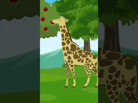 Galani | The Jungle Story | Cartoons | #junglestory