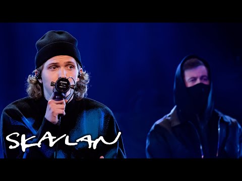 Alan Walker performs "Paradise" live | SVT/TV 2/Skavlan