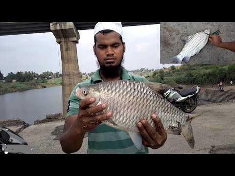 Parag Fish Catching on Bridge