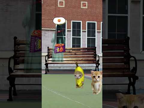 Banana Cat And Happy Cat School Day Part 27 #bananacat #catmemes #happycat