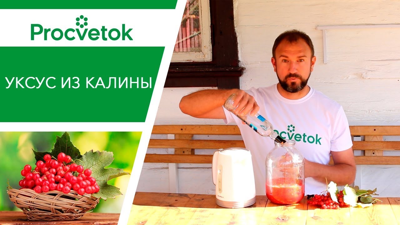 Уксус из калины. Полезный рецепт!