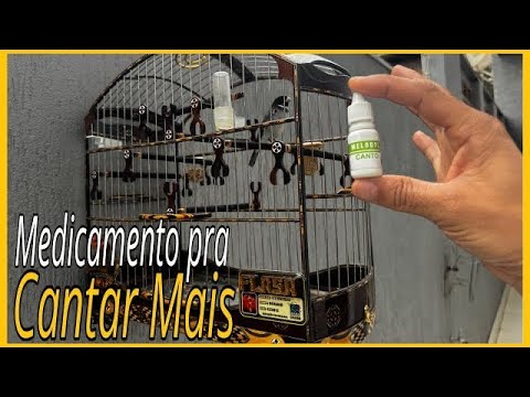 MEDICAMENTO PARA PÁSSARO APRONTAR CANTAR ESQUENTAR