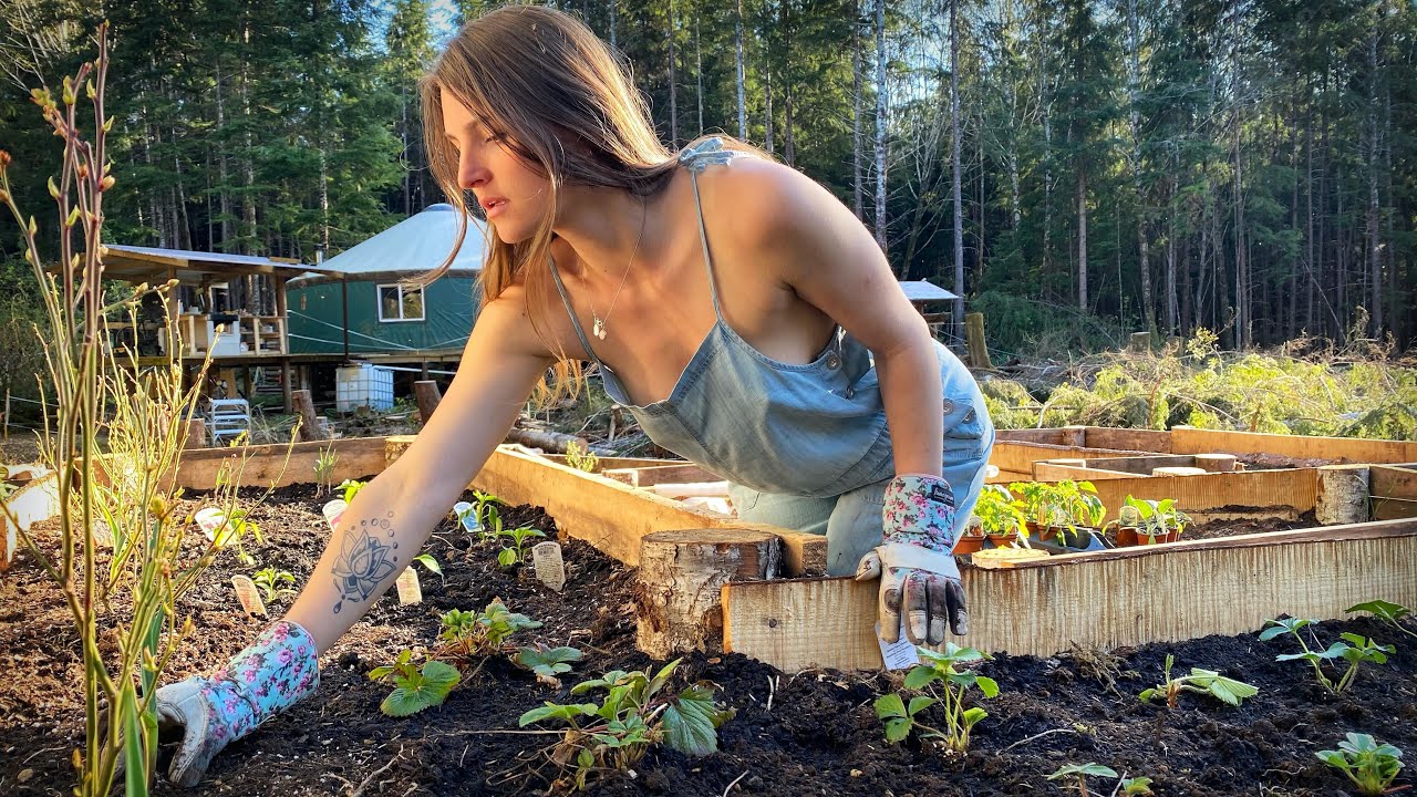 ESCAPE to the WILDERNESS - YURT TOUR // 2 YEARS in a YURT - Wasabi & Strawberry GARDEN - Ep. 130