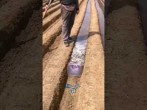 昔の日本人が考えた天才すぎる灌漑テクニック