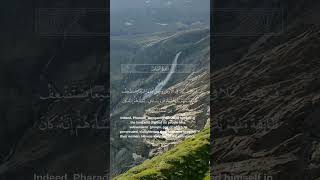 Beautiful Recitation