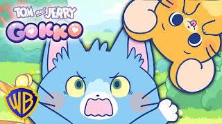 Tom & Jerry Gokko ✨| FULL EPISODE COMPILATION PART 1 | All Episodes FULL SCREEN | @wbkids