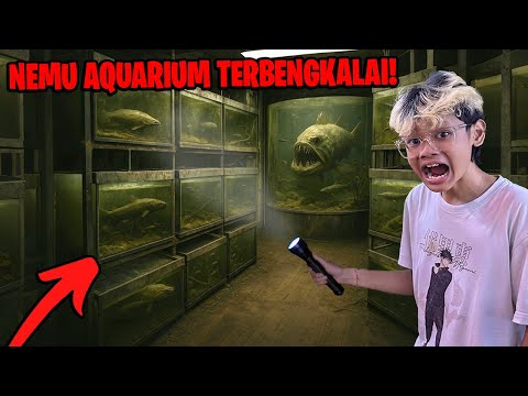 MENEMUKAN AQUARIUM TERBENGKALAI! ADA IKAN MONSTER MENGERIKAN YANG MASIH HIDUP!!!