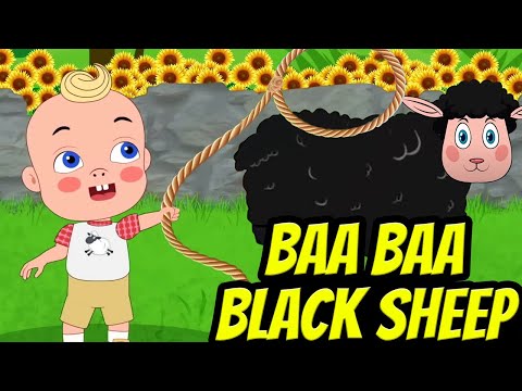 Baa Baa Black Sheep +Wheels on the Bus - Baby songs - Nursery Rhymes & Kids Songs