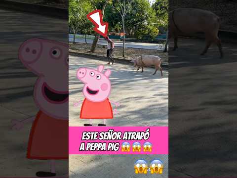 El señor Atrapó a peppa Pig 😨😱😱😱 #shorts #viralshorts #viralvideo #fyp #parati