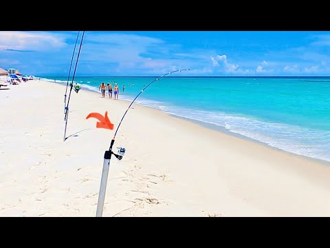 Tiny Rod Takes Massive Hit! Then Catches This Surf Fishing