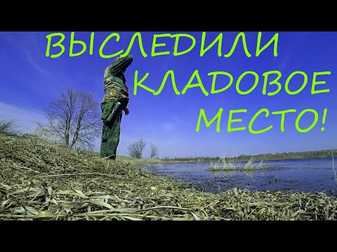 ПО СЛЕДАМ НОДИКА ХЕДА! ЖИРНЫЕ МЕСТА!