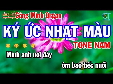 Ký Ức Nhạt Màu Tone NAm ( Fm ) Karaoke Nhạc Hoa Lời Việt