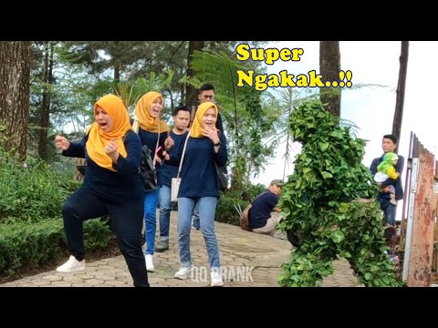 Dia benar - benar lari ketakutan...!!! || Bushman Prank#prank #bushman #funnyprank #lucu