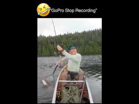 Stop recording…🤣🤣🤣 #shorts #funny #humorvibes #fishing #gopro #wildlife