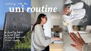 settling into a routine for university