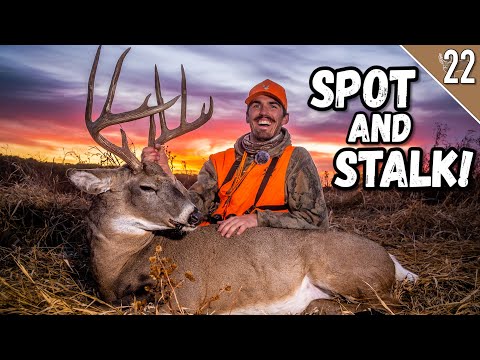 TWO BUCKS DOWN in One Day!!! - Our CRAZIEST October Hunt Ever!