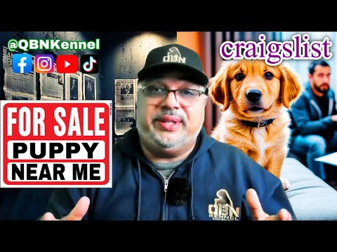 WATCH THIS Before Buying Your First Puppy!