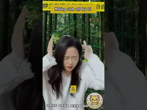 Những sinh vật kỳ bí #meotamtruyen #douyin #tips