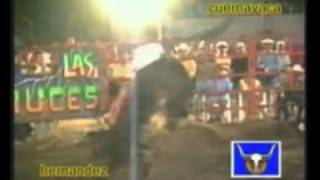 Cayeron Los Grandes Jinetes de Mexico
