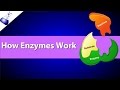 Exploring the Role of Enzymes in Chemical Reactions